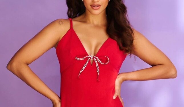 Exquisite Christmas Elegance: Triptii Dimri’s Stunning Red Adele Gown Comes with a Price Tag of Rs 57K+