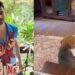 Varun Dhawan shares a heartwarming video of his pet Joey and niece Anjini spending a joyful Sunday together.