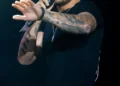 Eyewitness recalls Liam Payne’s tragic fall in upcoming documentary